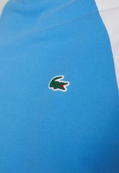 Lacoste Sport Tennis - Sport T-Shirt - Bleu/Blanc -Lyno Kleding Winkel a734667cb4734fe0affa1e3df9606ca7