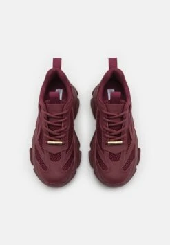 Steve Madden Possession - Sneakers Laag - Wine -Lyno Kleding Winkel b023863af28f4f4aab1677ac3717a836